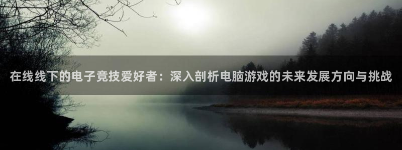 极悦娱乐平台登录：在线线下的电子竞技爱好者：深入剖析电脑游戏
