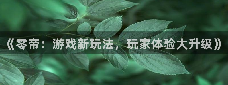 极悦娱乐在线登录：《零帝：游戏新玩法，玩家体验大升级》