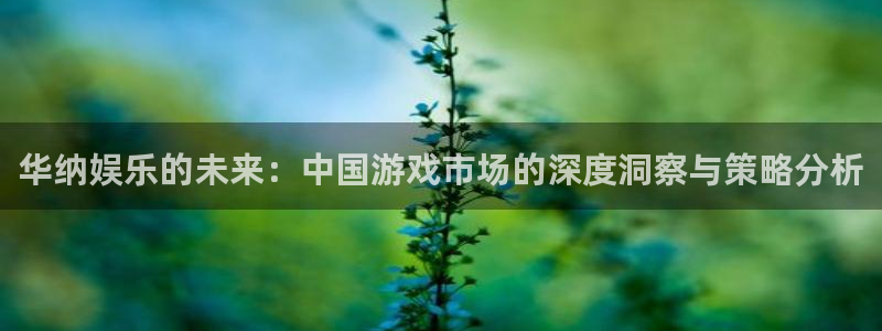 极悦娱乐登录：华纳娱乐的未来：中国游戏市场的深度洞察与策略分