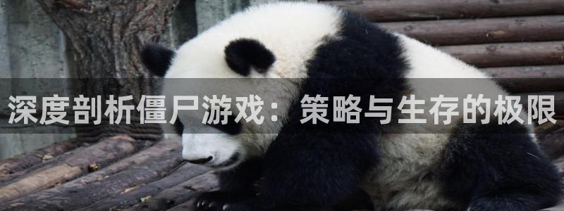 极悦娱乐注册测速：深度剖析僵尸游戏：策略与生存的极限
