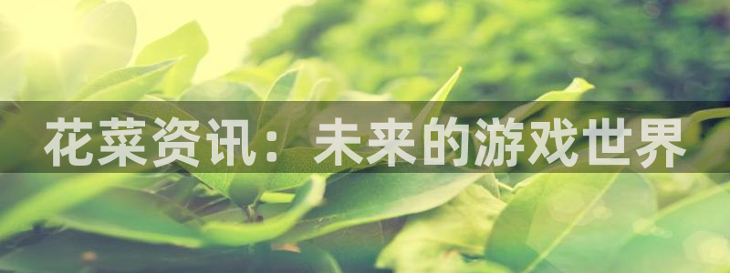 极悦娱乐平台注册资金多少：花菜资讯：未来的游戏世界