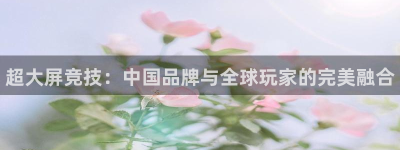 极悦娱乐登陆测速：超大屏竞技：中国品牌与全球玩家的完美融合