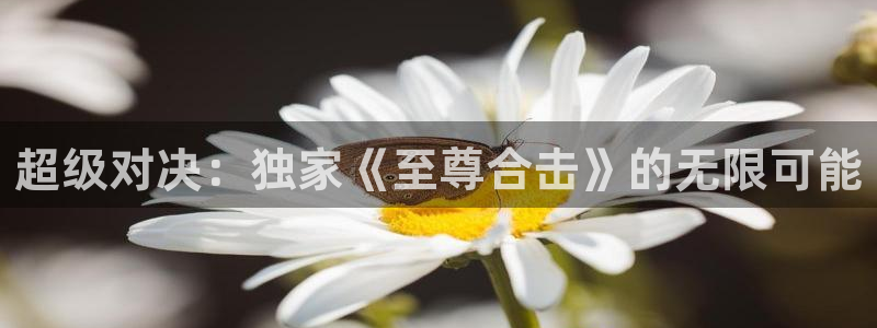 极悦娱乐升级5994月：超级对决：独家《至尊合击》的无限可能