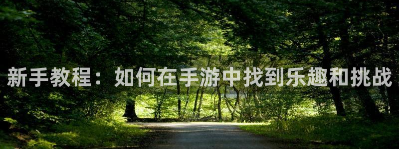 极悦娱乐登陆地址：新手教程：如何在手游中找到乐趣和挑战