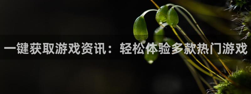 极悦娱乐游戏：一键获取游戏资讯：轻松体验多款热门游戏