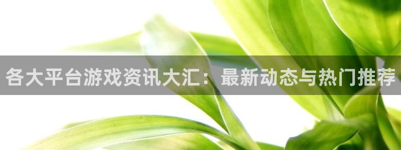 极悦娱乐网页登录入口官网：各大平台游戏资讯大汇：最新动态与热