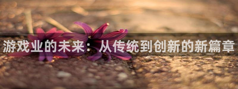 极悦娱乐直属：游戏业的未来：从传统到创新的新篇章