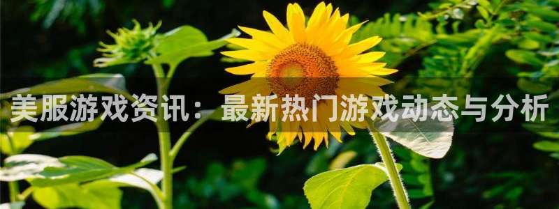 极悦娱乐网页登录入口：美服游戏资讯：最新热门游戏动态与分析