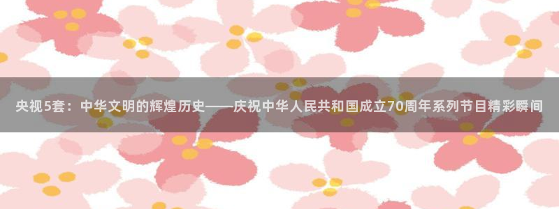 雨燕体育足球直播免费观看：央视5套：中华文明的辉煌历史——庆祝中华人民共和国成立70周年系列节目精彩瞬间
