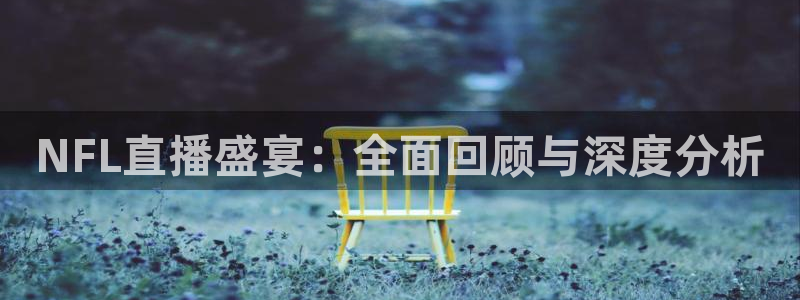 雨燕360体育免费观看：NFL直播盛宴：全面回顾与深度分析