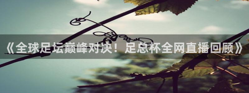 雨燕免费直播在线观看直播nba：《全球足坛巅峰对决！足总杯全网直播回顾》