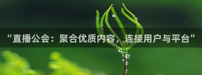 雨燕直播360高清直播：“直播公会：聚合优质内容，连接用户与平台”