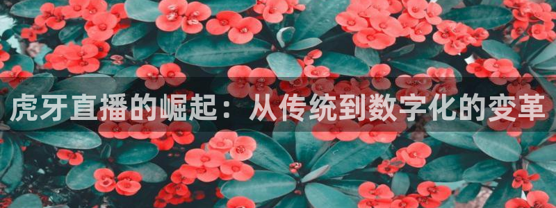 雨燕直播nba篮球：虎牙直播的崛起：从传统到数字化的变革