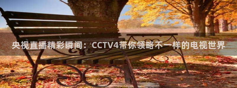 雨燕直播nba直播在线直播：央视直播精彩瞬间：CCTV4带你领略不一样的电视世界